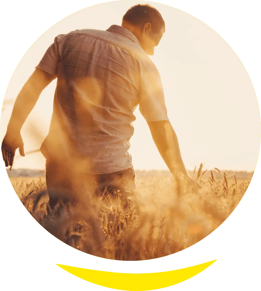 Vsl_histoire Vsl_histoire