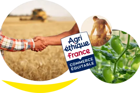 Vsl_valeurs Vsl_valeurs